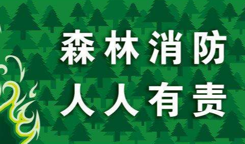 漫畫(huà)：關(guān)于森林防火   這些知識(shí)你應(yīng)該知道